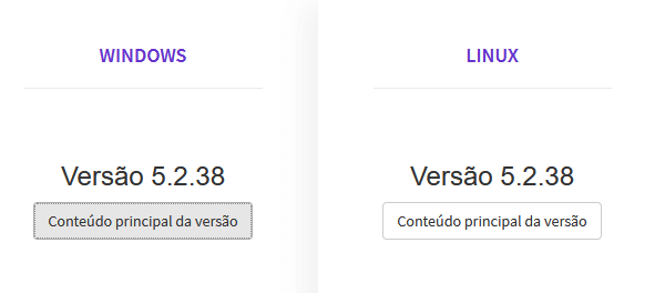 Nova versão do e-SUS 5.2.28